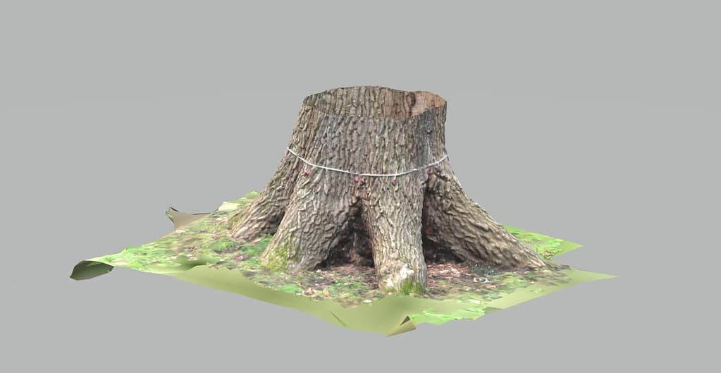 Internal Decay Aldershot