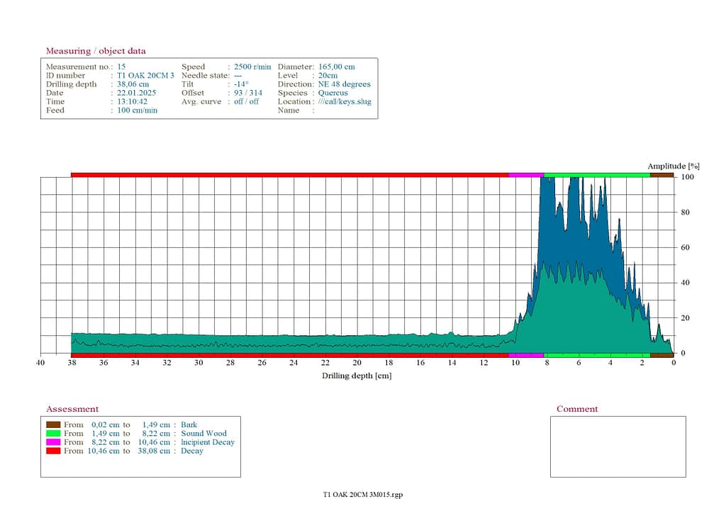 Tree Inspection decay Godalming
