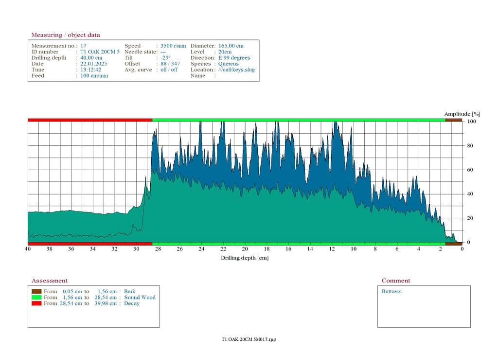 Internal Decay Guildford