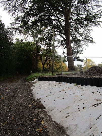 Arboricultural Impact Assessment Farnham