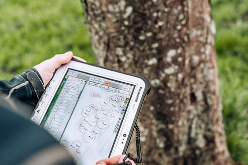 Planning Tree Survey Surrey