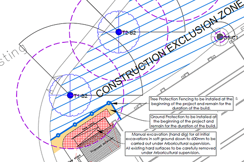 tree report for planning Horsham