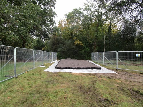 Tree Survey Guildford