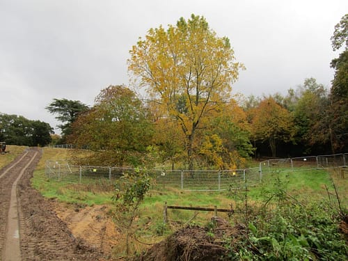 Arboricultural Impact Assessment Aldershot