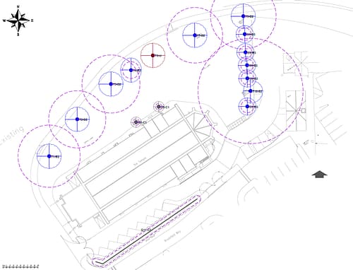 Planning Tree Inspection Farnham
