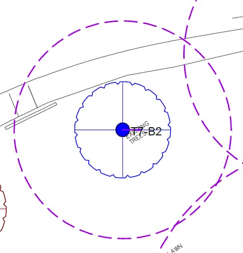 Planning Tree Survey Godalming