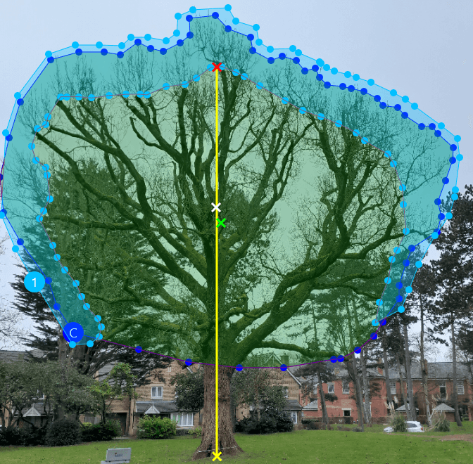Tree Survey Hampshire
